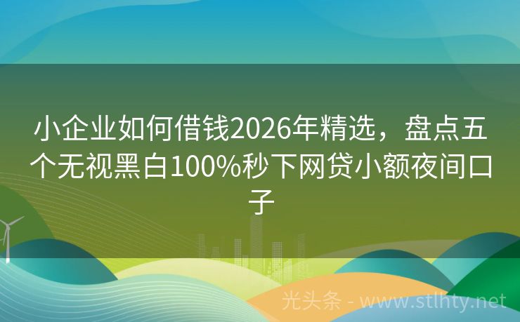 小企业如何借钱2026年精选，盘点五个无视黑白100%秒下网贷小额夜间口子
