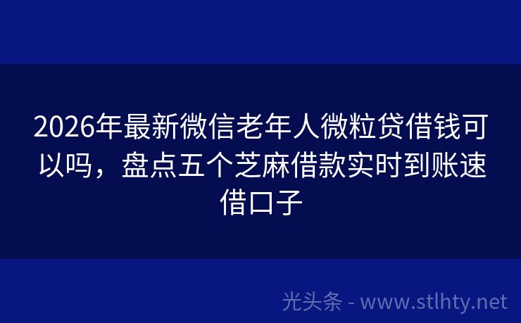 2026年最新微信老年人微粒贷借钱可以吗，盘点五个芝麻借款实时到账速借口子