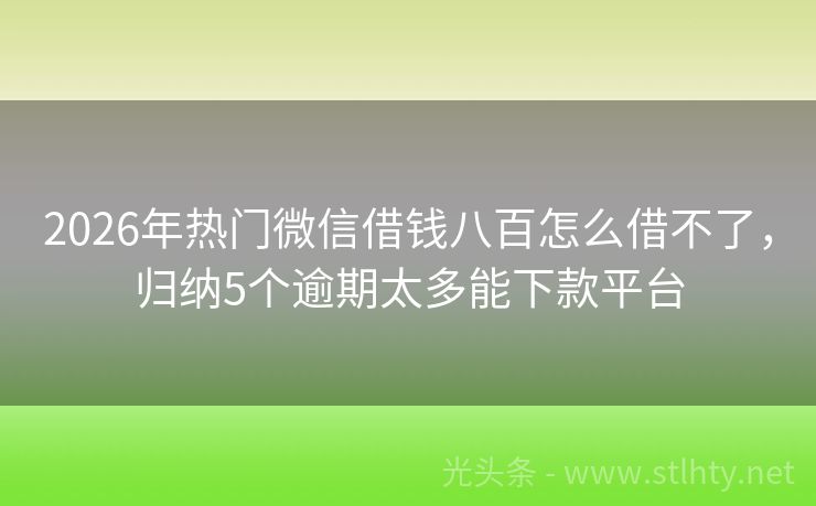 2026年热门微信借钱八百怎么借不了，归纳5个逾期太多能下款平台
