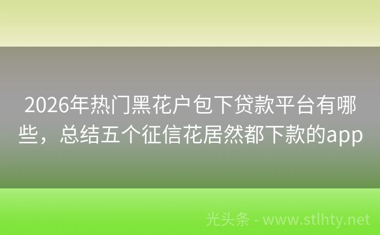 2026年热门黑花户包下贷款平台有哪些，总结五个征信花居然都下款的app