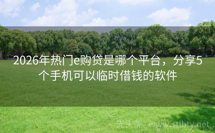 2026年热门e购贷是哪个平台，分享5个手机可以临时借钱的软件