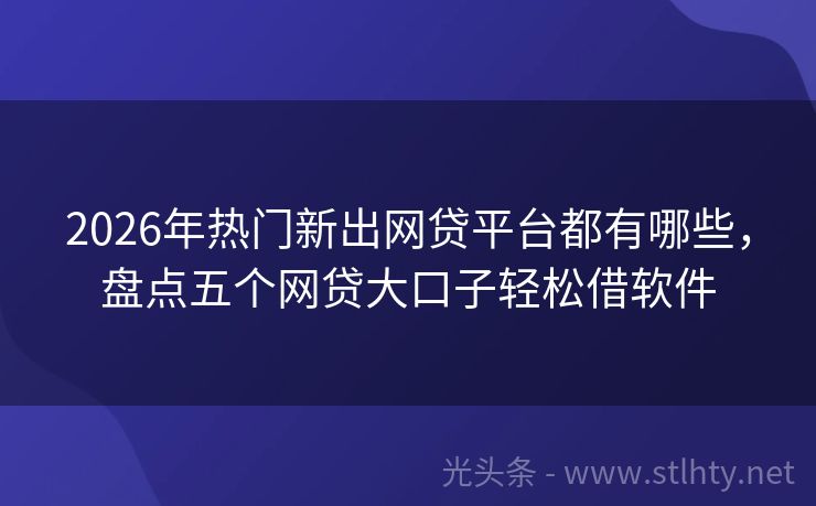 2026年热门新出网贷平台都有哪些，盘点五个网贷大口子轻松借软件