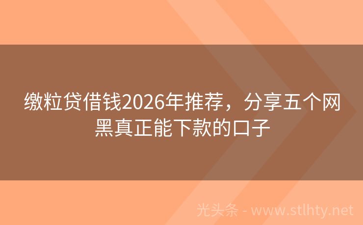 缴粒贷借钱2026年推荐，分享五个网黑真正能下款的口子