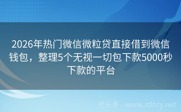 2026年热门微信微粒贷直接借到微信钱包，整理5个无视一切包下款5000秒下款的平台