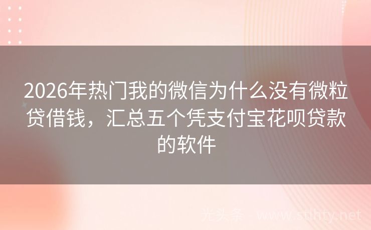2026年热门我的微信为什么没有微粒贷借钱，汇总五个凭支付宝花呗贷款的软件
