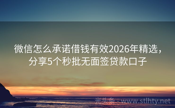 微信怎么承诺借钱有效2026年精选，分享5个秒批无面签贷款口子