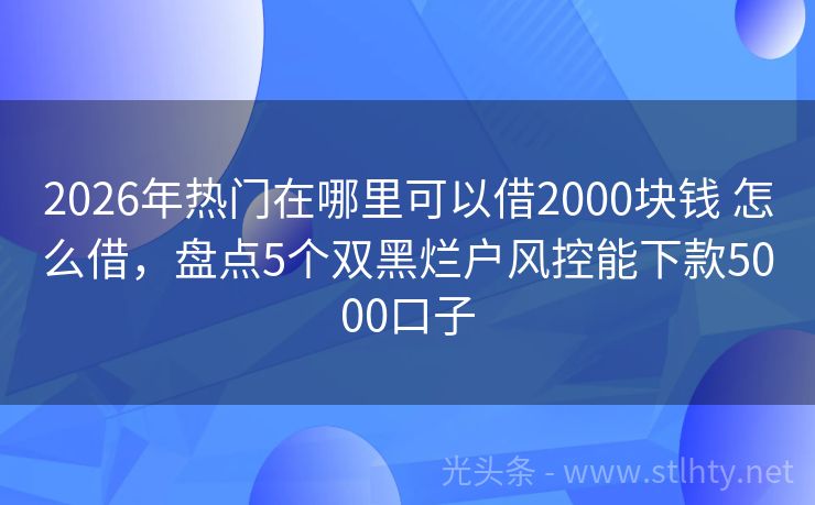 2026年热门在哪里可以借2000块钱 怎么借，盘点5个双黑烂户风控能下款5000口子