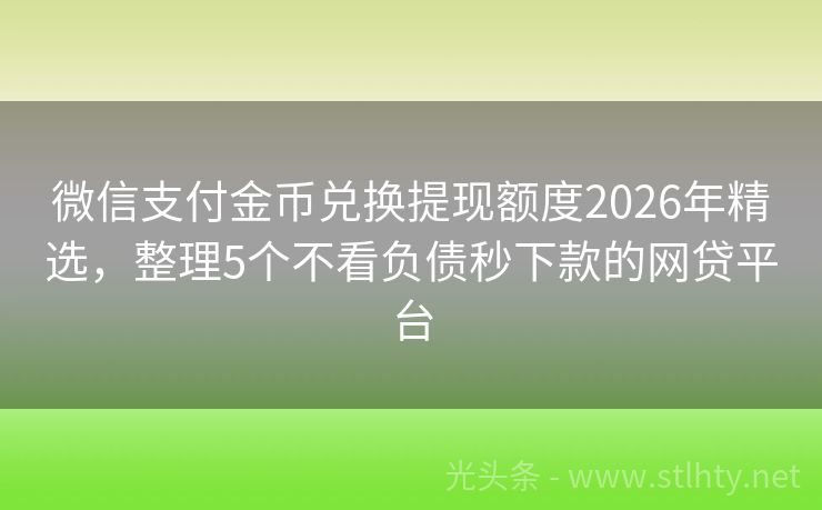 微信支付金币兑换提现额度2026年精选，整理5个不看负债秒下款的网贷平台