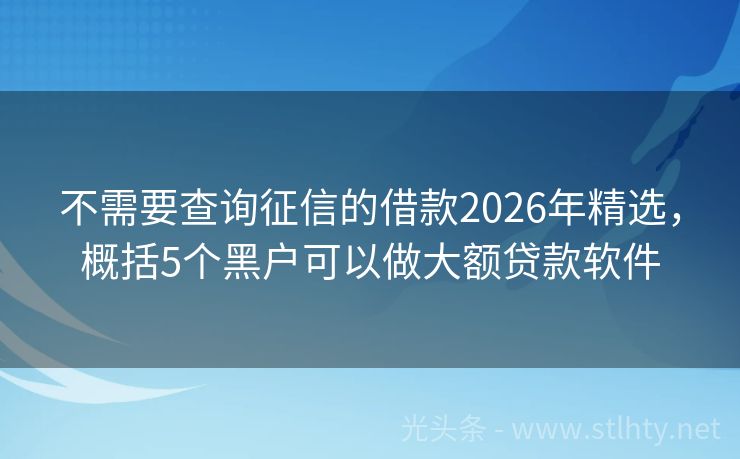 不需要查询征信的借款2026年精选，概括5个黑户可以做大额贷款软件
