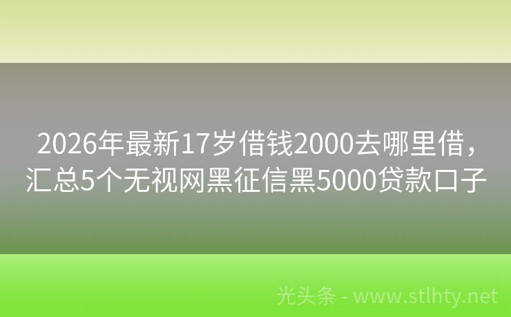 2026年最新17岁借钱2000去哪里借，汇总5个无视网黑征信黑5000贷款口子
