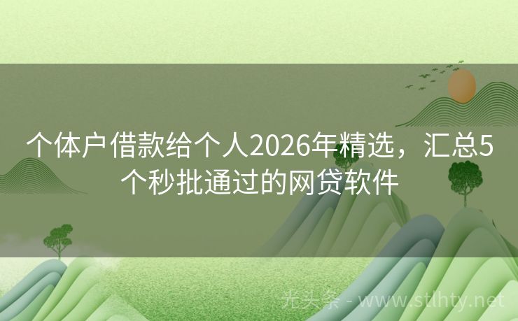 个体户借款给个人2026年精选，汇总5个秒批通过的网贷软件