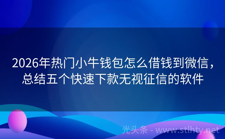 2026年热门小牛钱包怎么借钱到微信，总结五个快速下款无视征信的软件
