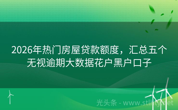 2026年热门房屋贷款额度，汇总五个无视逾期大数据花户黑户口子
