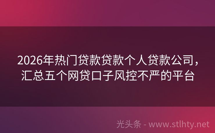2026年热门贷款贷款个人贷款公司，汇总五个网贷口子风控不严的平台