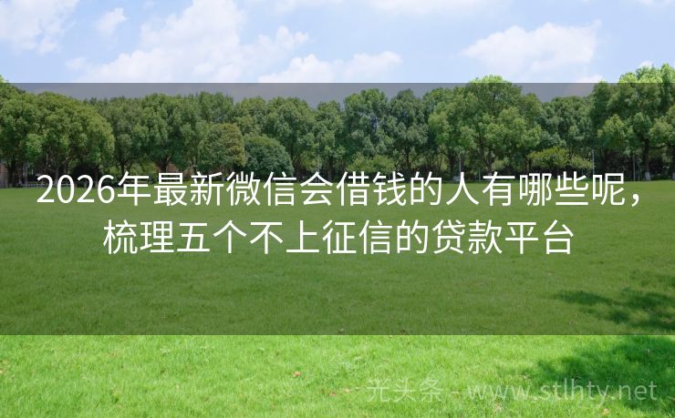 2026年最新微信会借钱的人有哪些呢，梳理五个不上征信的贷款平台