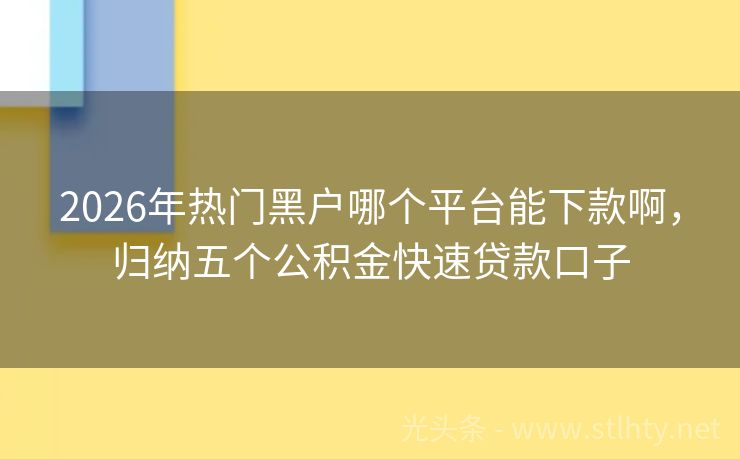 2026年热门黑户哪个平台能下款啊，归纳五个公积金快速贷款口子