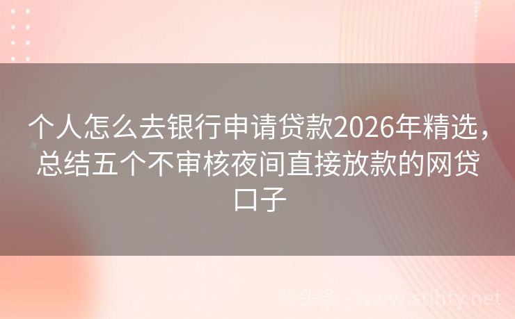 个人怎么去银行申请贷款2026年精选，总结五个不审核夜间直接放款的网贷口子
