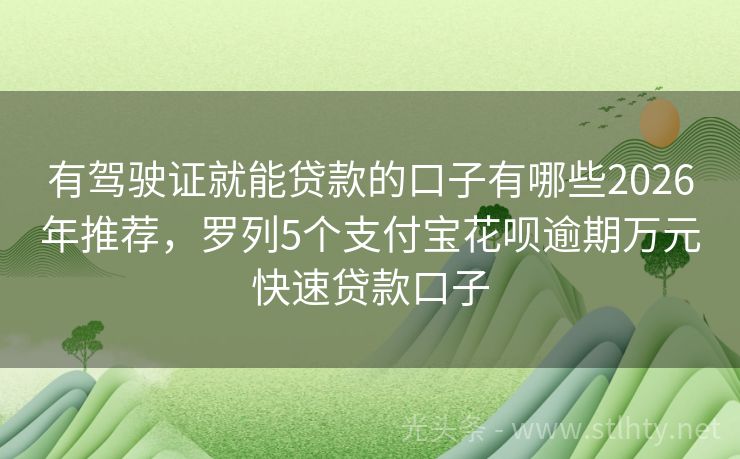 有驾驶证就能贷款的口子有哪些2026年推荐，罗列5个支付宝花呗逾期万元快速贷款口子