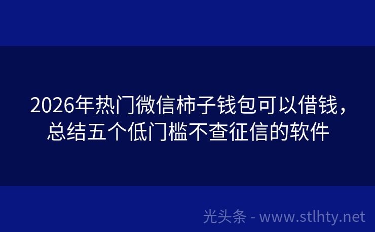 2026年热门微信柿子钱包可以借钱，总结五个低门槛不查征信的软件