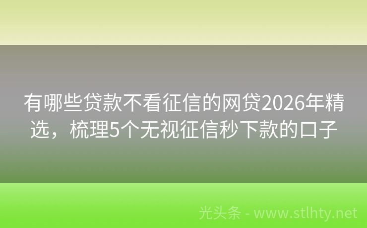 有哪些贷款不看征信的网贷2026年精选，梳理5个无视征信秒下款的口子