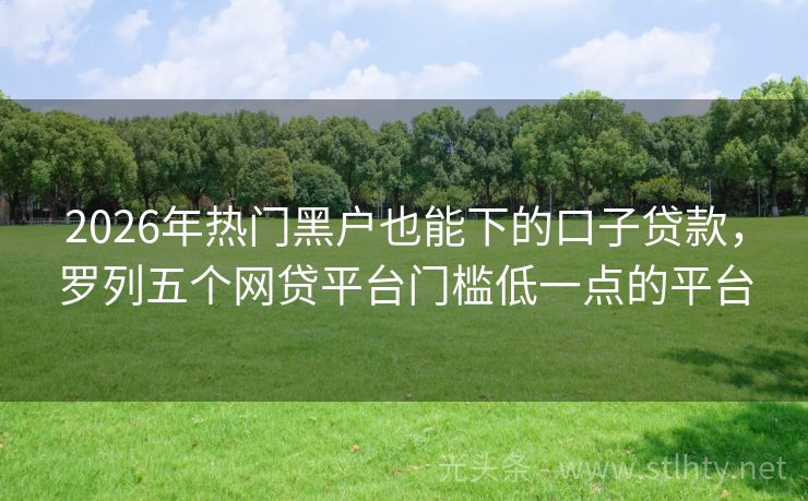 2026年热门黑户也能下的口子贷款,罗列五个网贷平台门槛低一点的平台