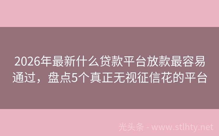2026年最新什么贷款平台放款最容易通过,盘点5个真正无视征信花的平台