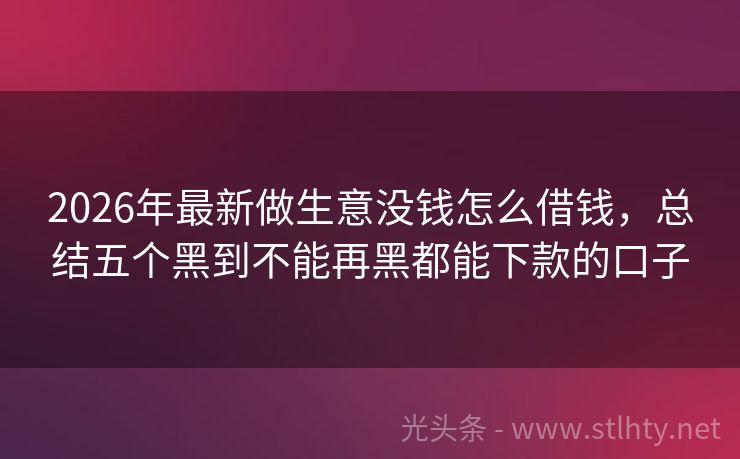 2026年最新做生意没钱怎么借钱,总结五个黑到不能再黑都能下款的口子