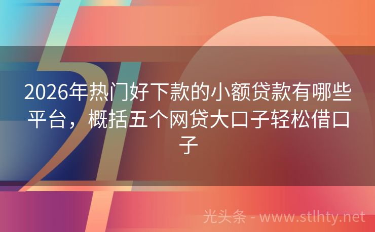 2026年热门好下款的小额贷款有哪些平台,概括五个网贷大口子轻松借口子