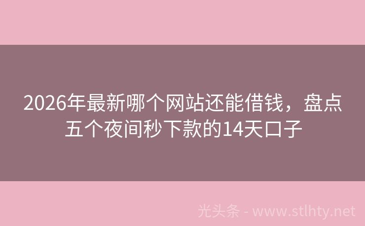 2026年最新哪个网站还能借钱,盘点五个夜间秒下款的14天口子