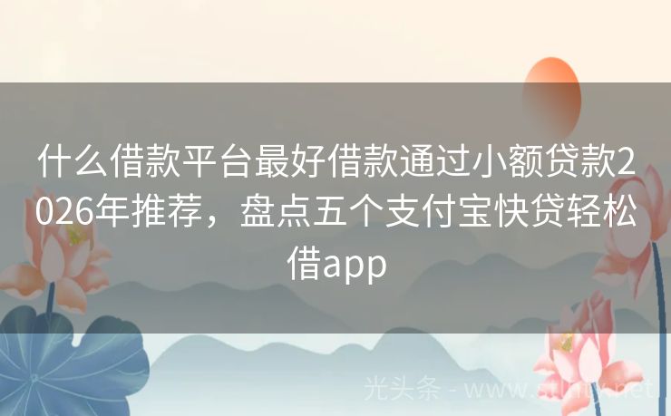 什么借款平台最好借款通过小额贷款2026年推荐，盘点五个支付宝快贷轻松借app