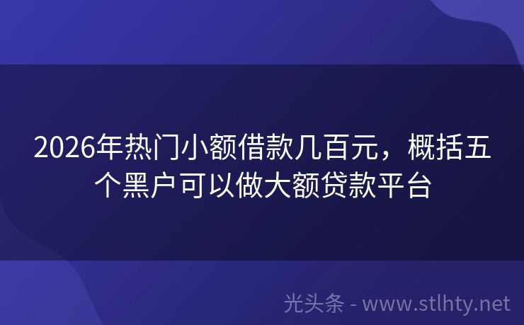 2026年热门小额借款几百元，概括五个黑户可以做大额贷款平台