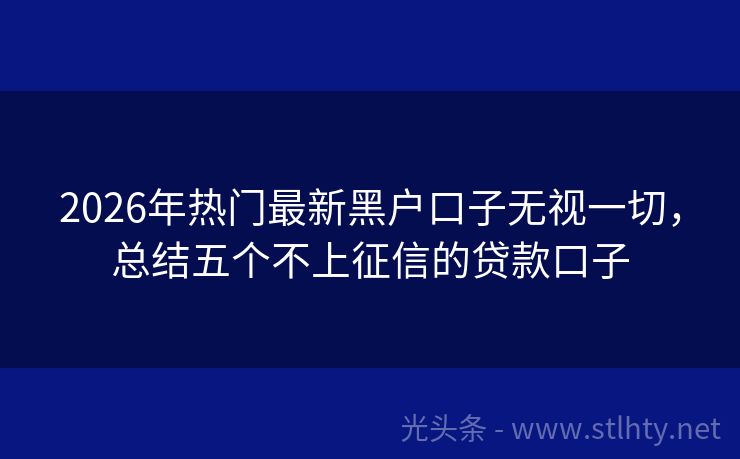 2026年热门最新黑户口子无视一切，总结五个不上征信的贷款口子