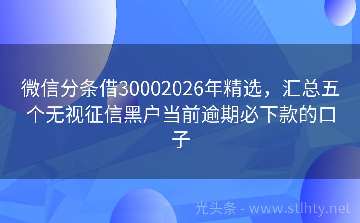 微信分条借30002026年精选，汇总五个无视征信黑户当前逾期必下款的口子
