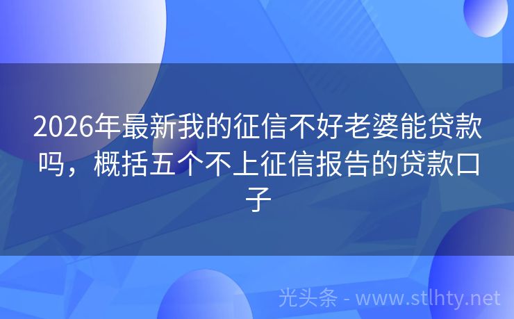 2026年最新我的征信不好老婆能贷款吗，概括五个不上征信报告的贷款口子