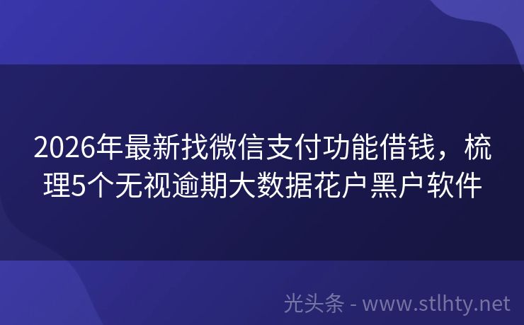 2026年最新找微信支付功能借钱，梳理5个无视逾期大数据花户黑户软件
