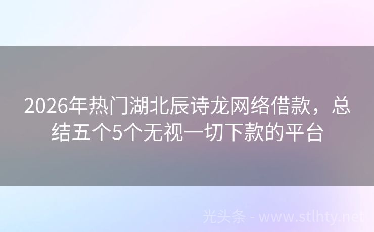2026年热门湖北辰诗龙网络借款，总结五个5个无视一切下款的平台