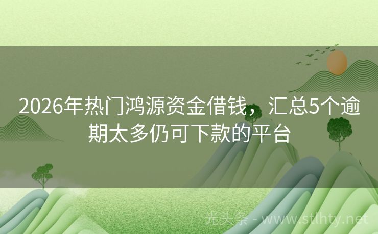 2026年热门鸿源资金借钱,汇总5个逾期太多仍可下款的平台