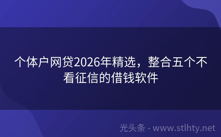 个体户网贷2026年精选，整合五个不看征信的借钱软件