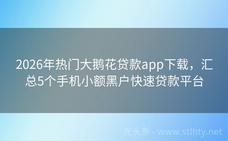 2026年热门大鹅花贷款app下载，汇总5个手机小额黑户快速贷款平台