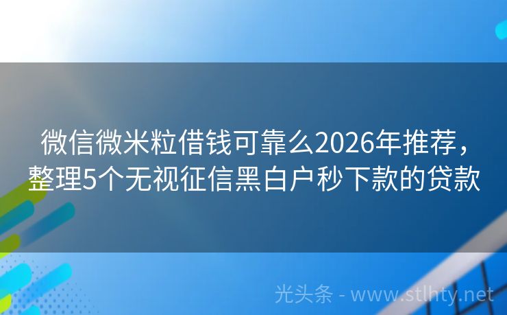 微信微米粒借钱可靠么2026年推荐,整理5个无视征信黑白户秒下款的贷款
