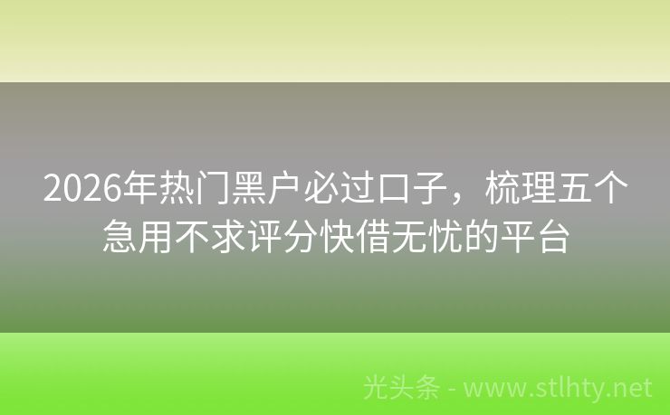 2026年热门黑户必过口子,梳理五个急用不求评分快借无忧的平台