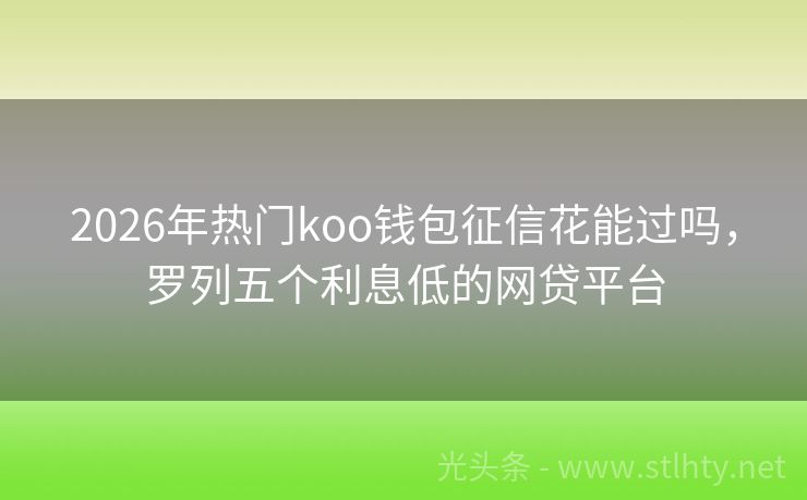 2026年热门koo钱包征信花能过吗，罗列五个利息低的网贷平台