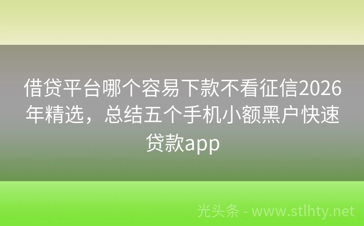 借贷平台哪个容易下款不看征信2026年精选，总结五个手机小额黑户快速贷款app