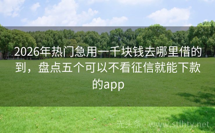 2026年热门急用一千块钱去哪里借的到，盘点五个可以不看征信就能下款的app
