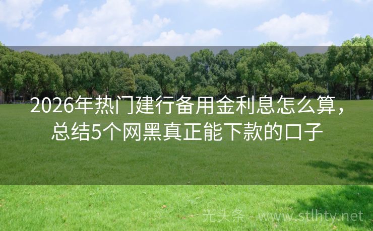 2026年热门建行备用金利息怎么算，总结5个网黑真正能下款的口子