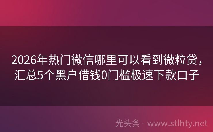 2026年热门微信哪里可以看到微粒贷，汇总5个黑户借钱0门槛极速下款口子