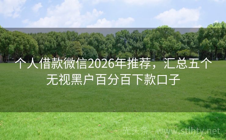 个人借款微信2026年推荐，汇总五个无视黑户百分百下款口子
