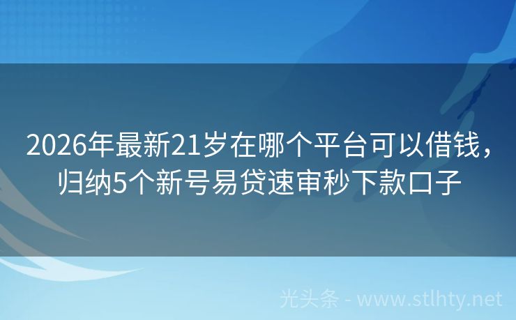 2026年最新21岁在哪个平台可以借钱，归纳5个新号易贷速审秒下款口子