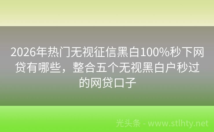 2026年热门无视征信黑白100%秒下网贷有哪些，整合五个无视黑白户秒过的网贷口子