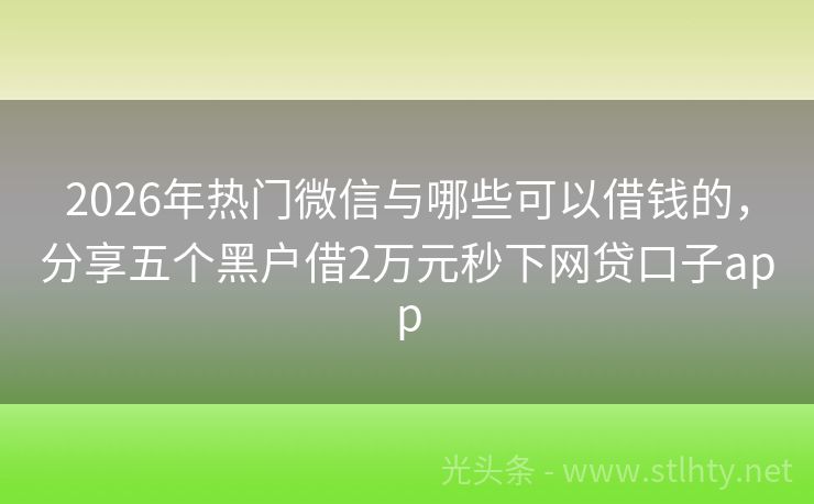 2026年热门微信与哪些可以借钱的，分享五个黑户借2万元秒下网贷口子app